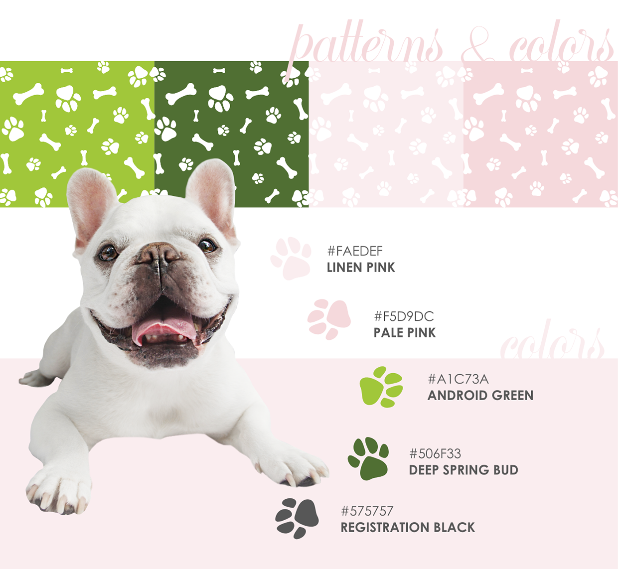 Mallow The Frenchie Image 8