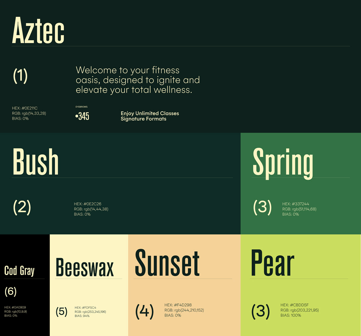 RF Studios Miami - Branding & Web Design Image 0