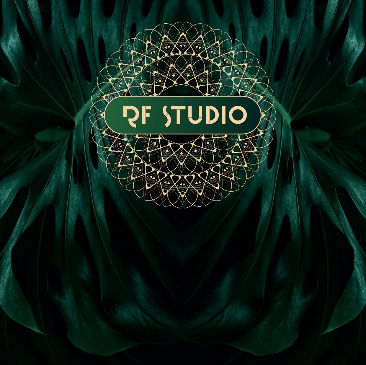 RF Studios Miami - Branding & Web Design Image 1