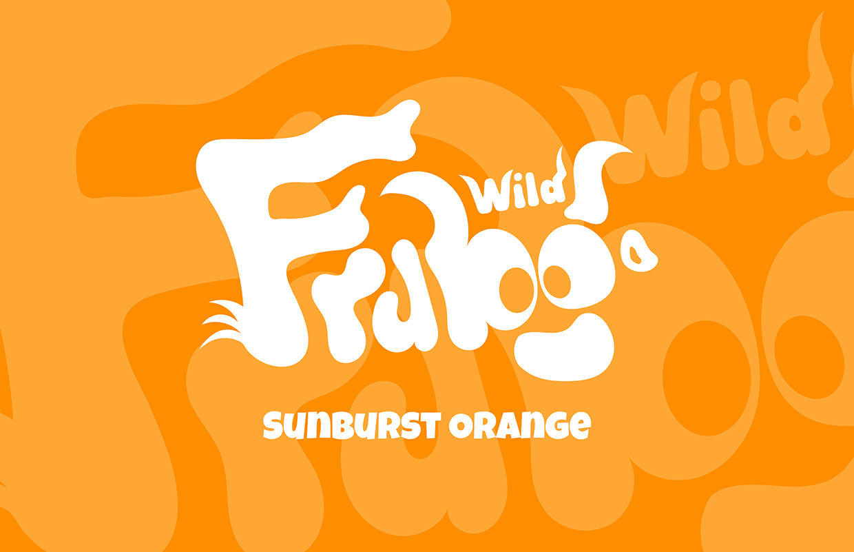 Fruboo Beverages Branding & Packaging | Drink| Can Image 4