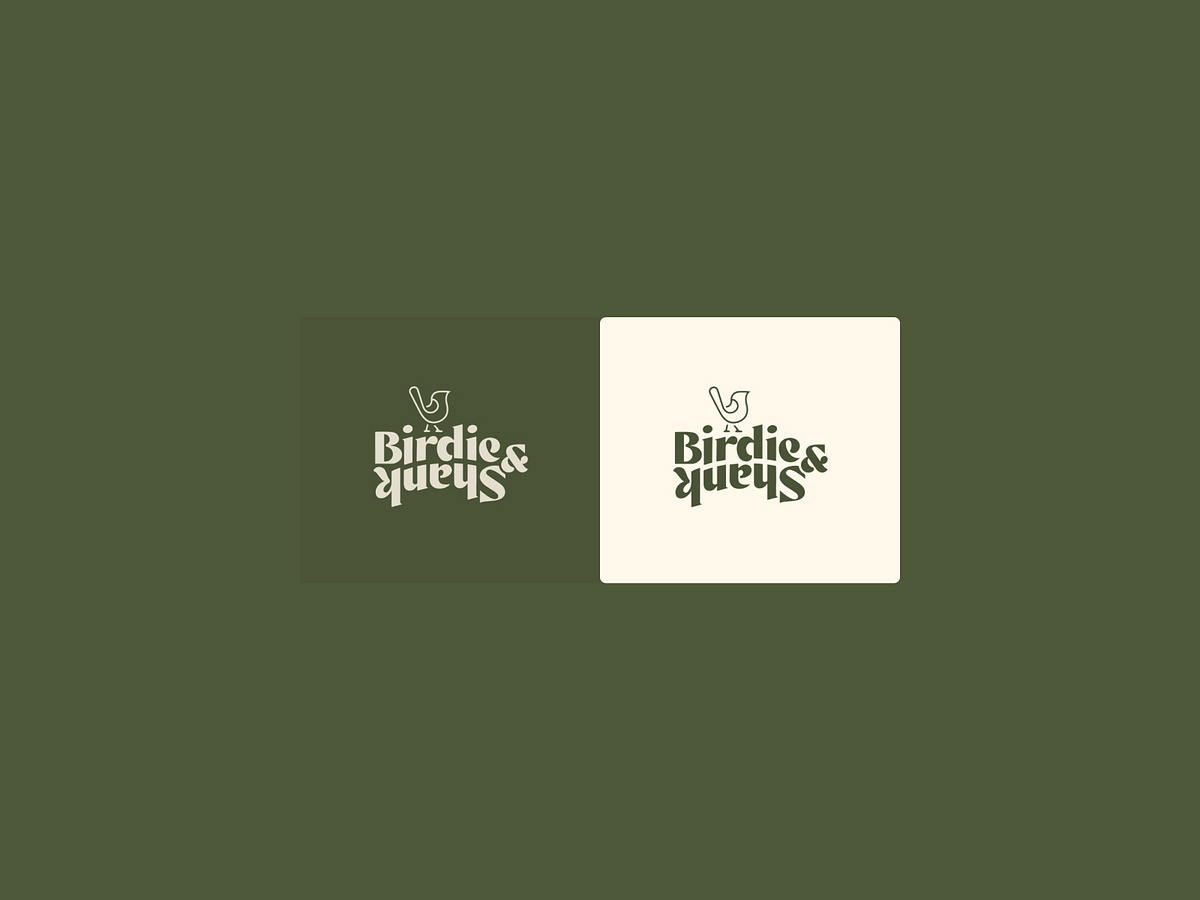 Birdie & Shank — Brand & Digital Experience Redesign v2 Image 2