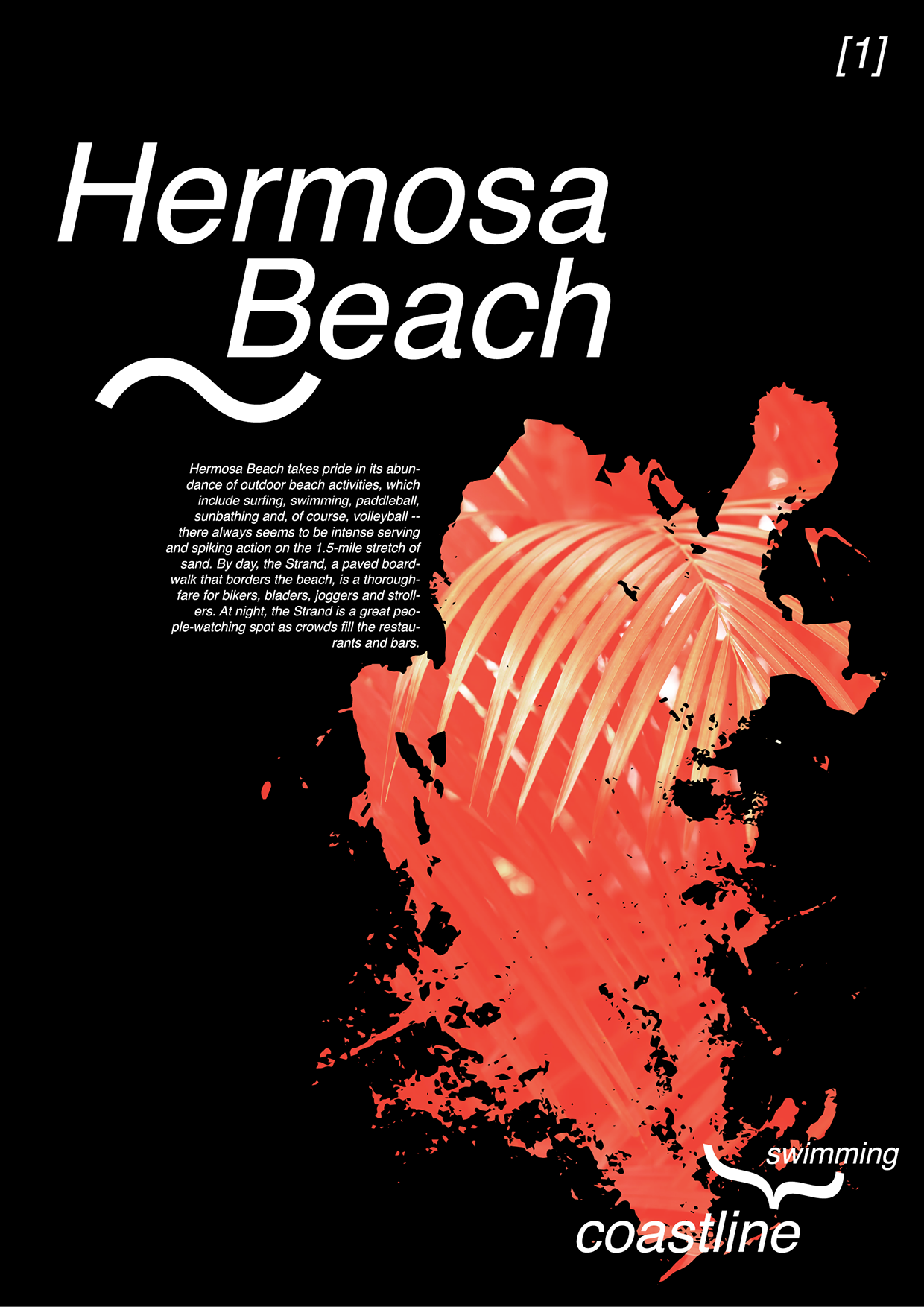 SURF VISUAL ARCHIVE Vol.01 — Typography Meets Coastline Image 0