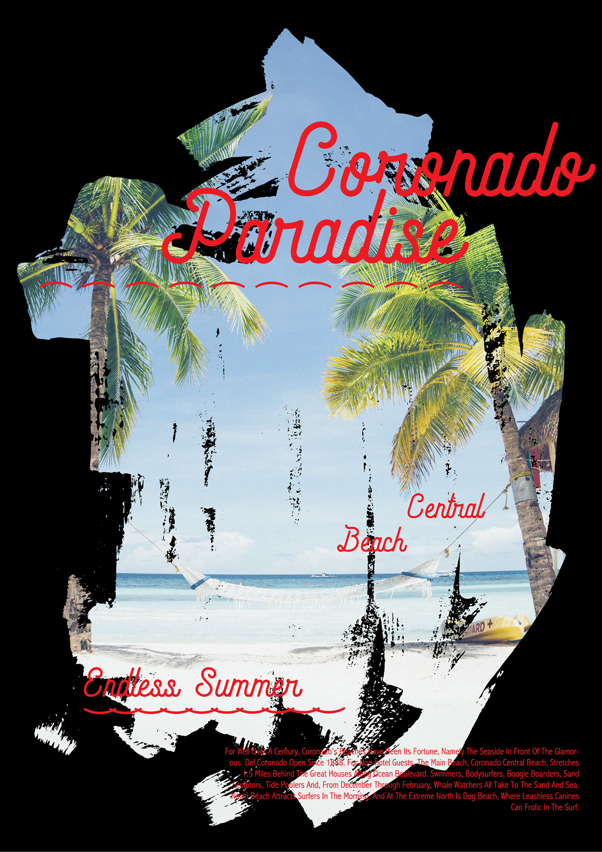 SURF VISUAL ARCHIVE Vol.01 — Typography Meets Coastline Image 4