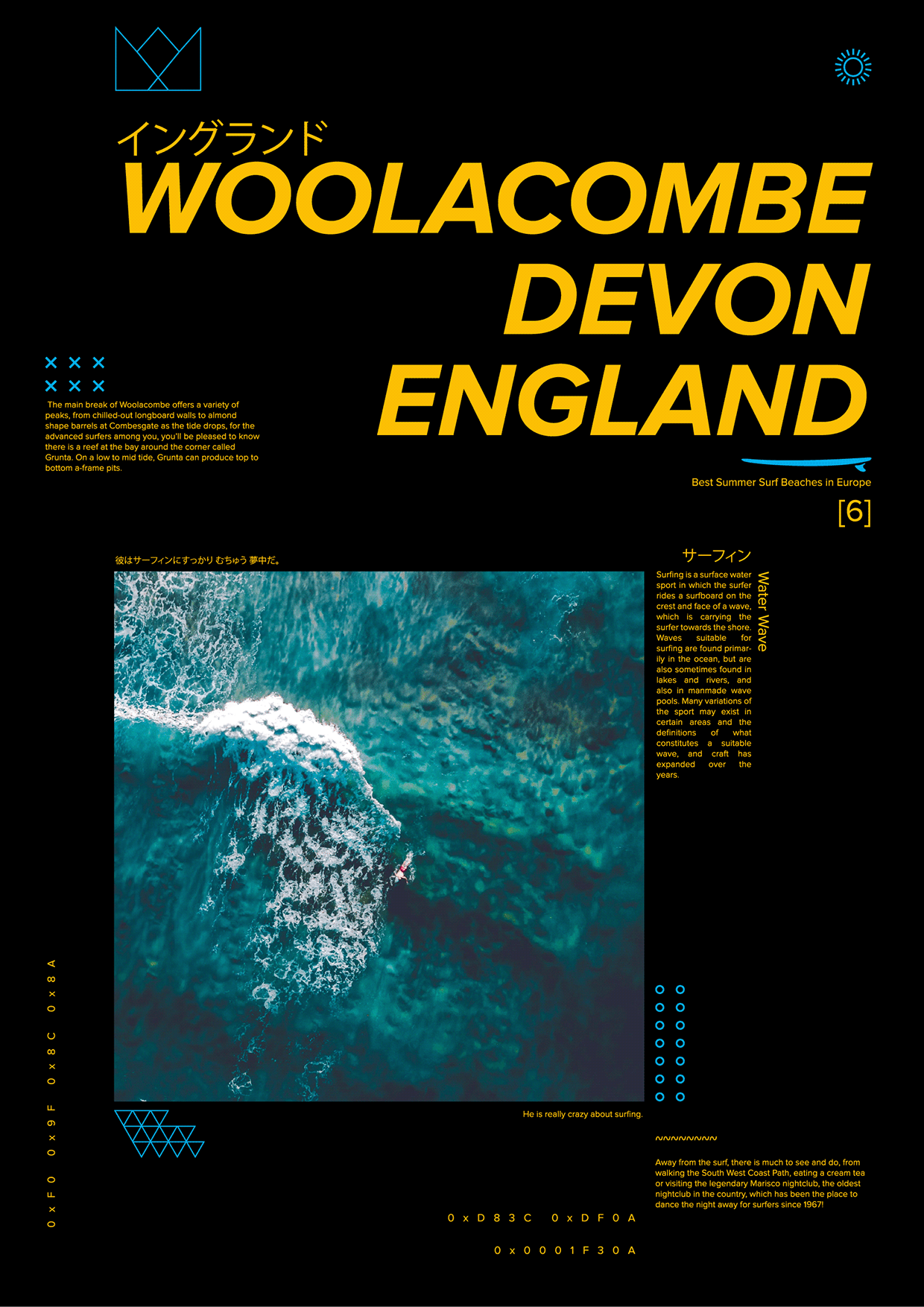 VISUAL SYSTEMS: ANALOG SIGNALS Image 2