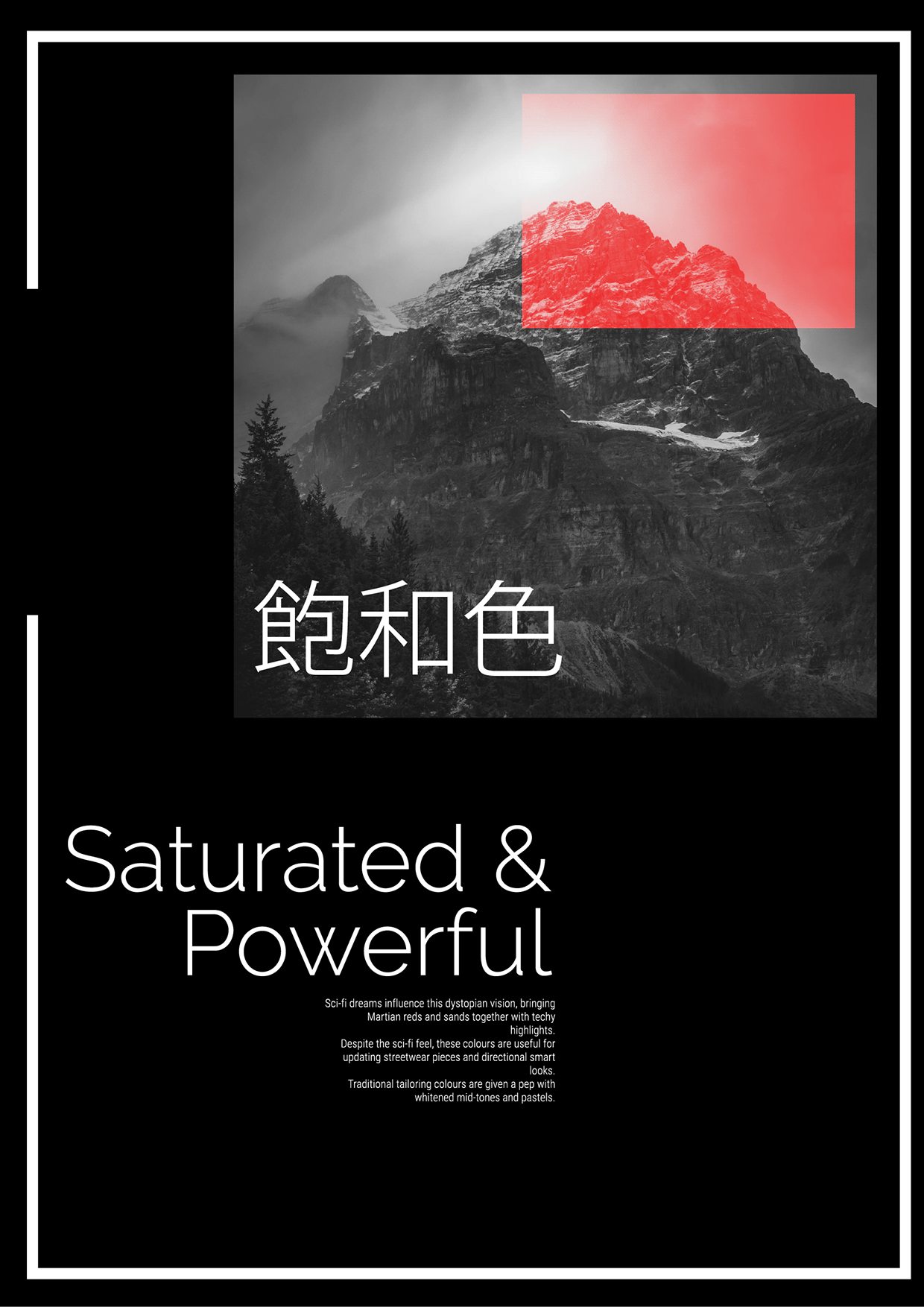 VISUAL SYSTEMS: ANALOG SIGNALS Image 5