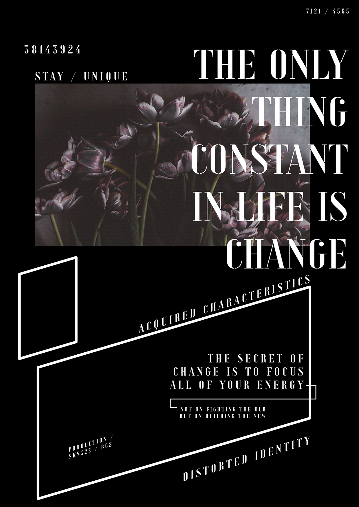 Monochrome Syntax — 8 Free AI Posters Image 2