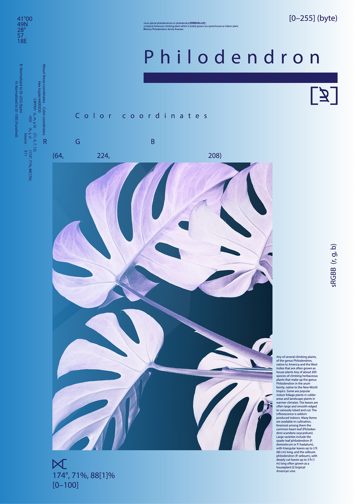 VISUAL ARCHIVE - Eclectic Typography and Grid Posters Image 1