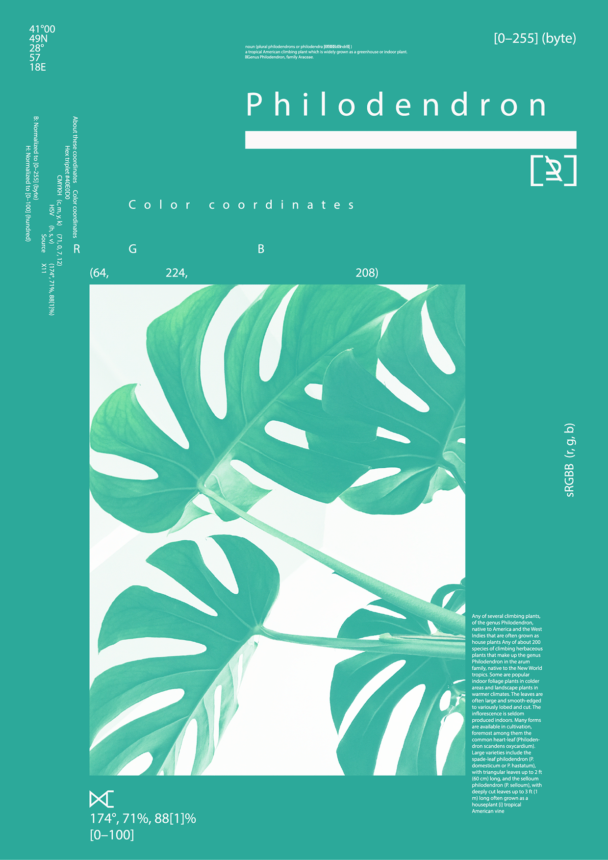 VISUAL ARCHIVE - Eclectic Typography and Grid Posters Image 7