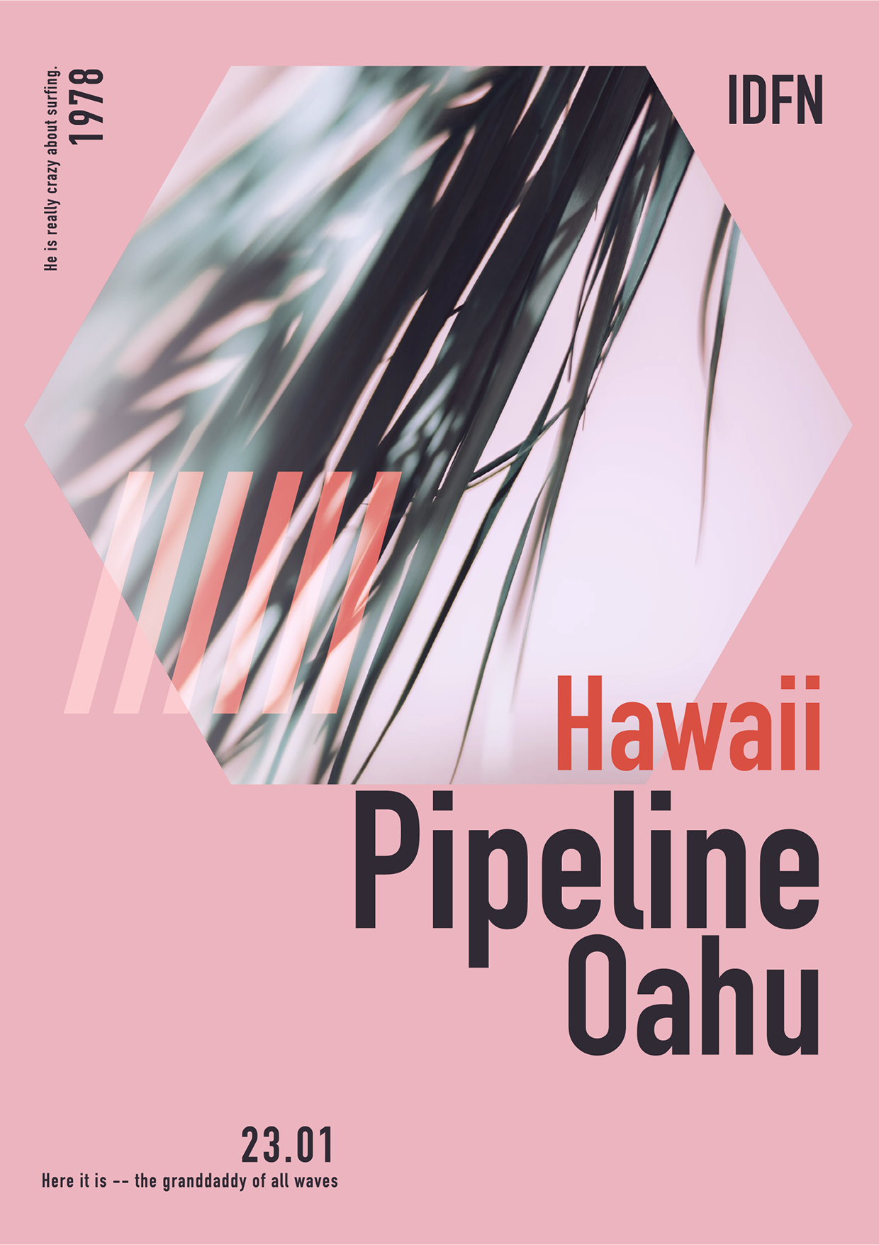 PACIFIC MOOD - Surf Set Image 4