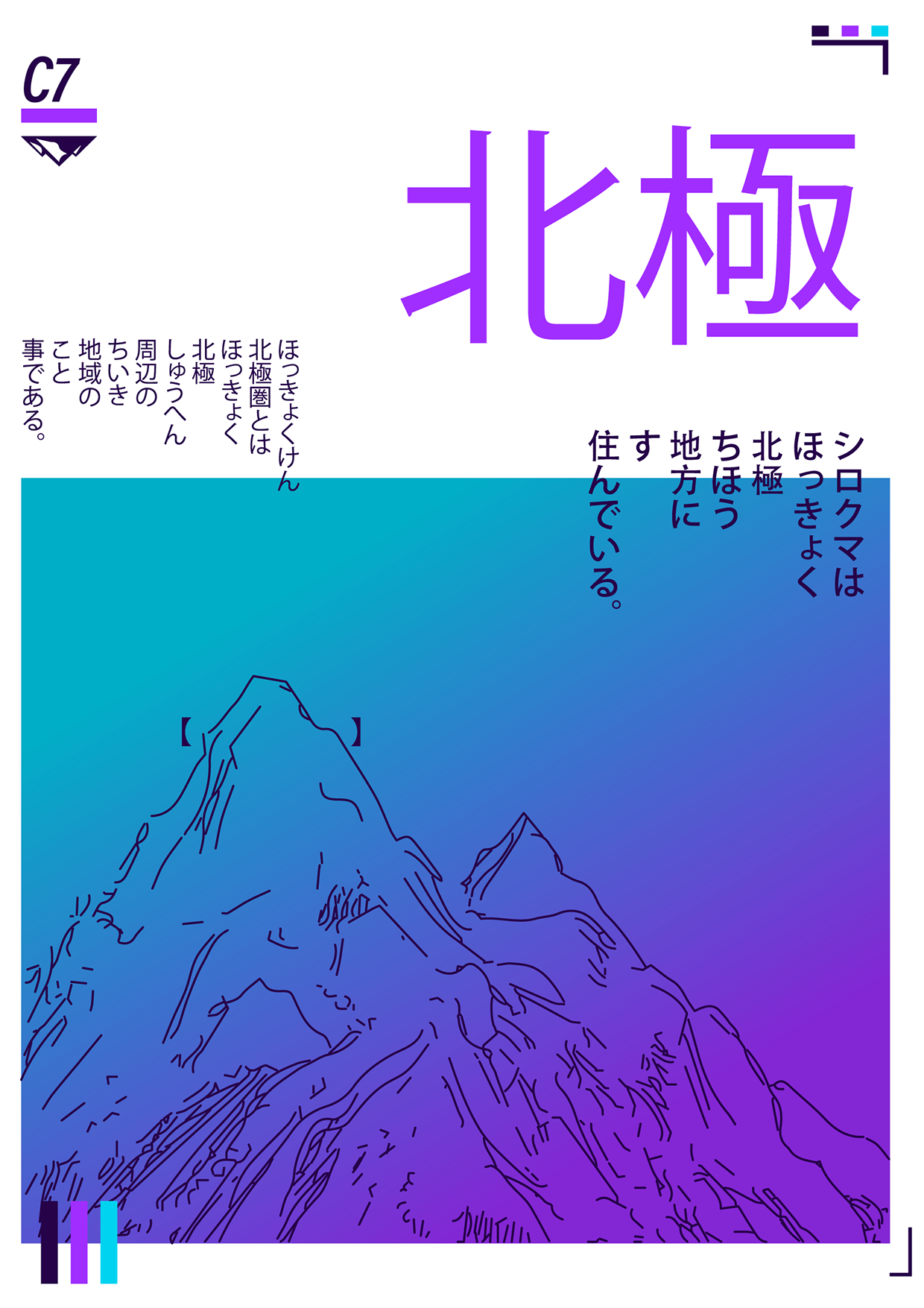 TRUE NORTH — Micro-Collection / Nospoon Archive Image 5