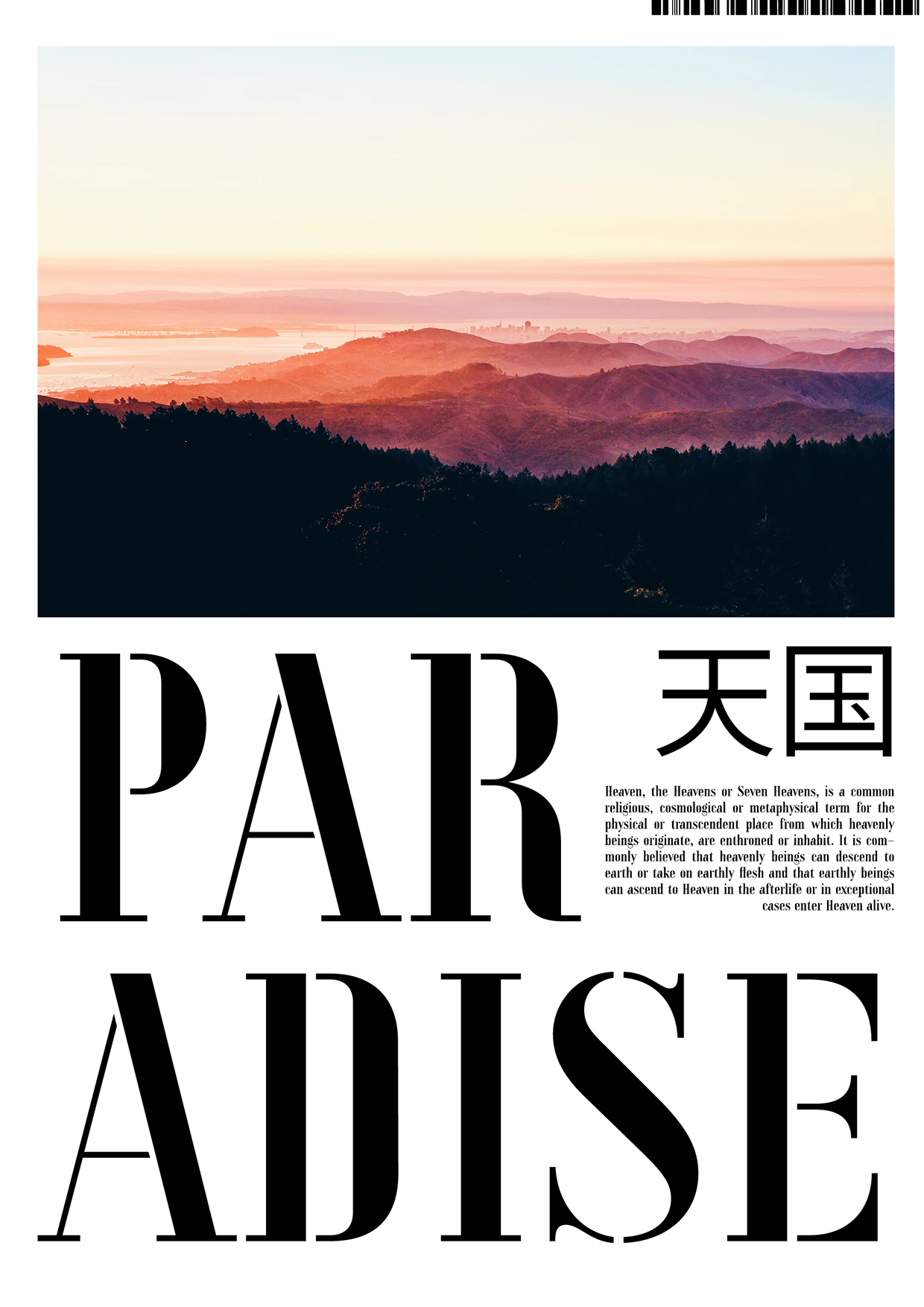 TERRA OPTICS — Micro-Collection / Nospoon Archive Image 4