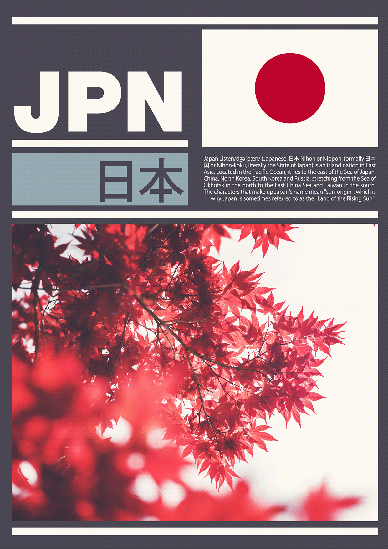 TERRA OPTICS — Micro-Collection / Nospoon Archive Image 7