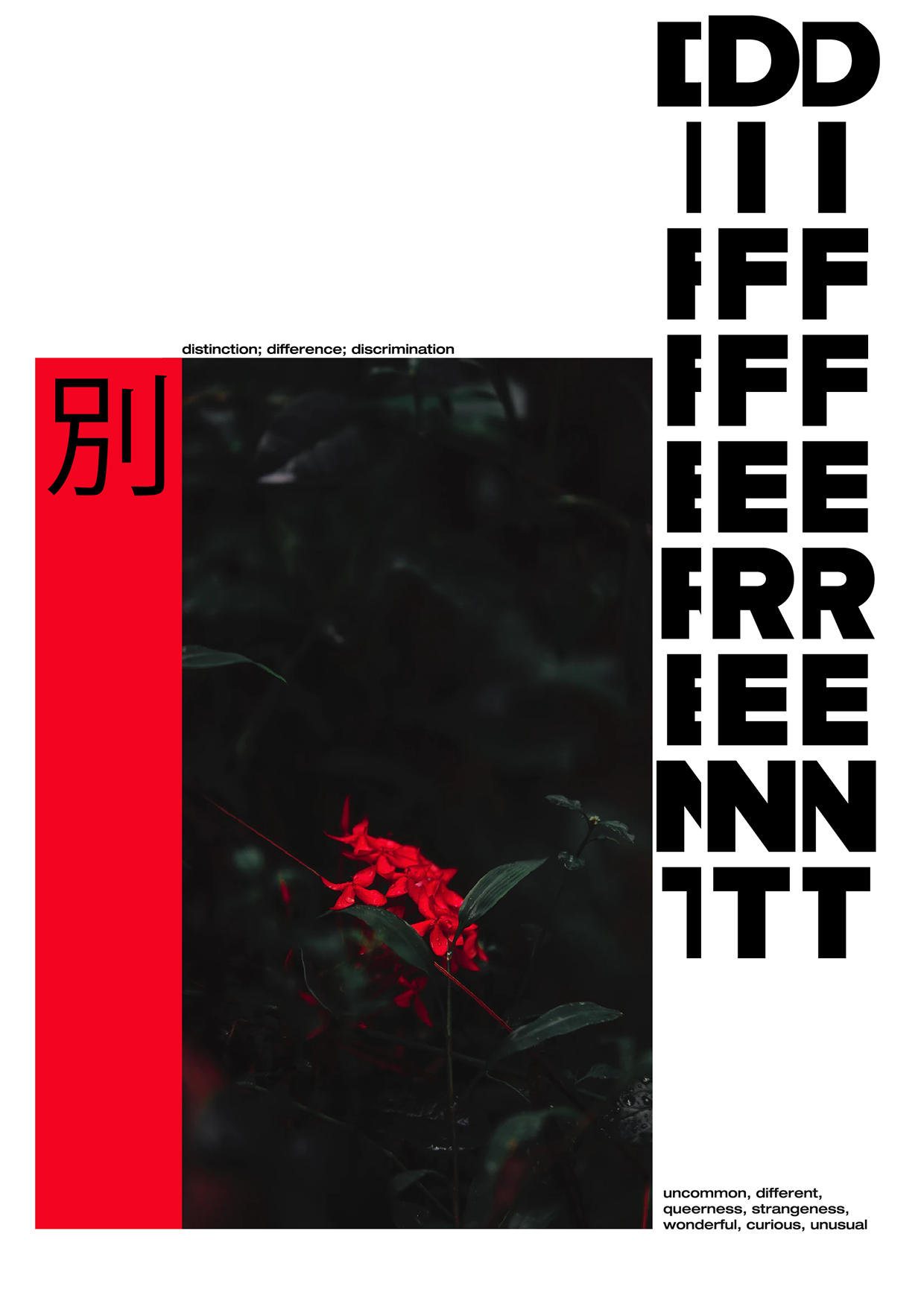 SIGNAL RED — Micro-Collection / Nospoon Archive Image 2