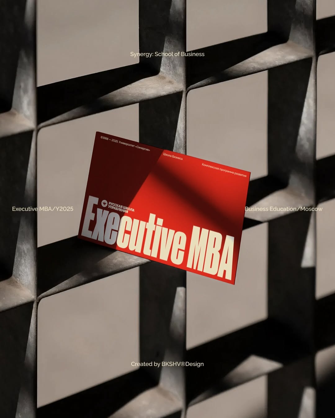 Synergy: School of Business Executive MBA Image 0