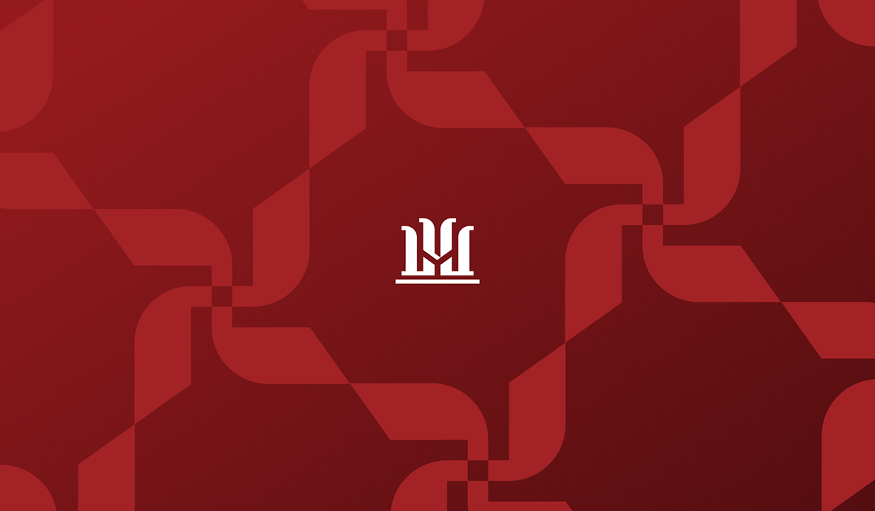 Vu Le Lawfirm_Branding Image 11