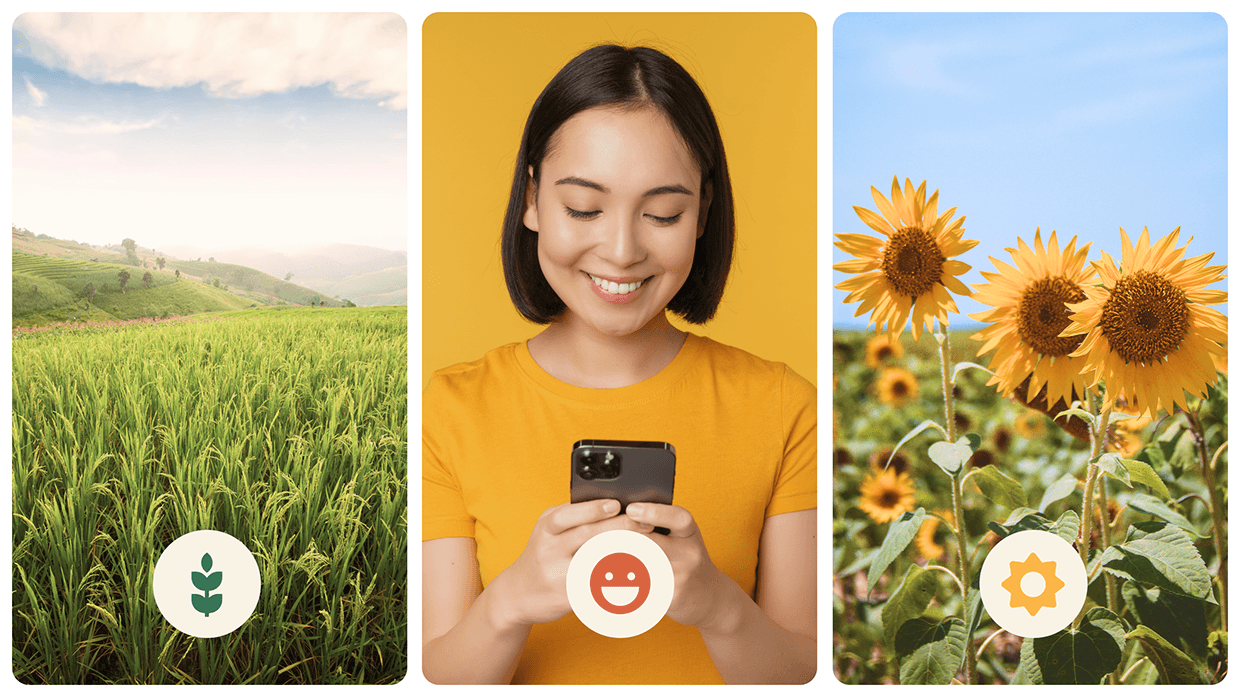 Riceway branding Image 0