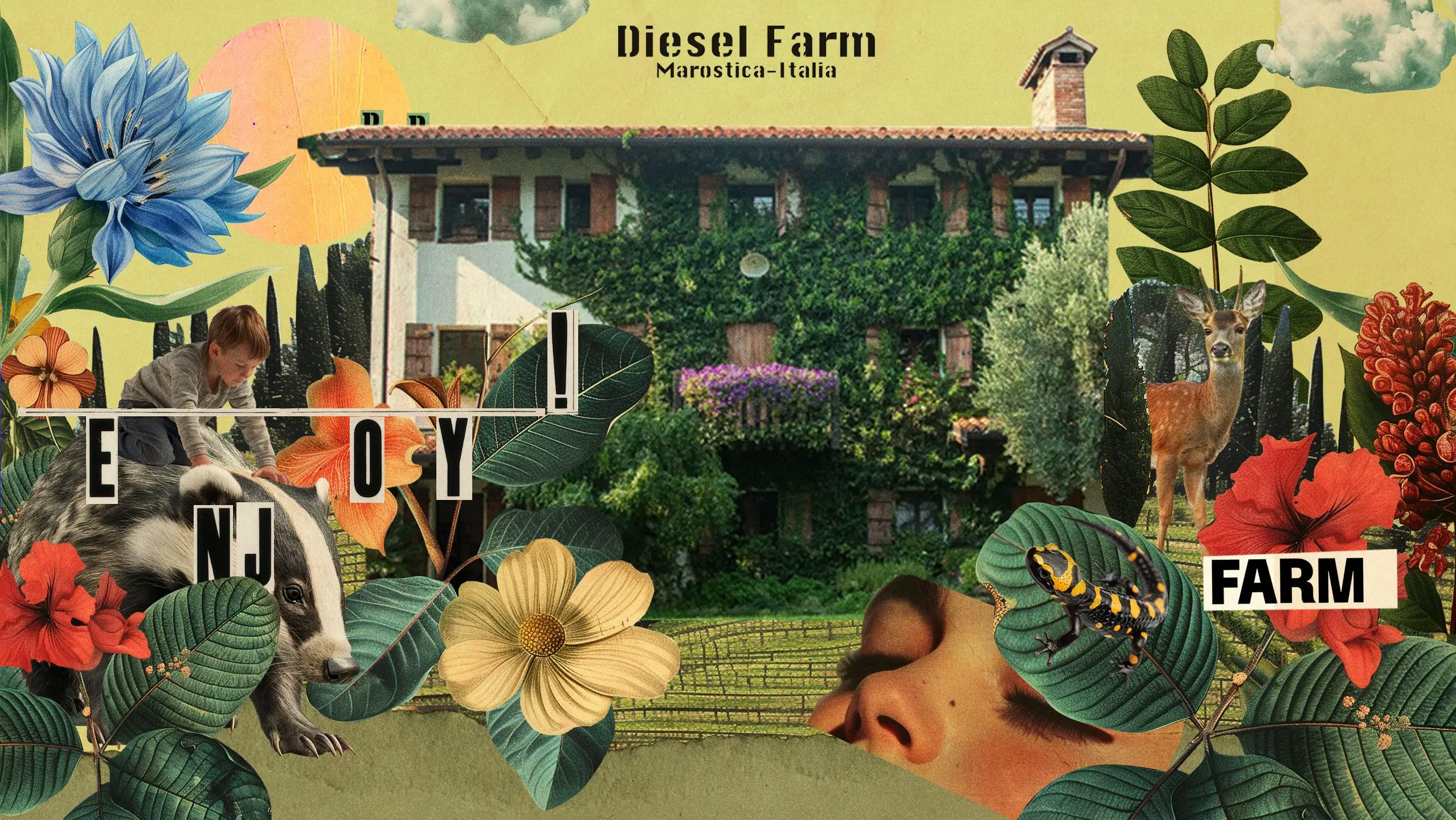 Diesel Farm