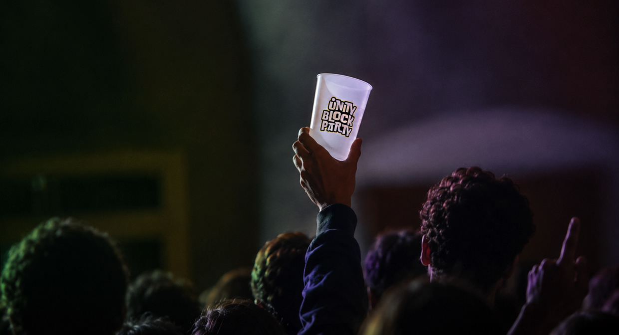 Festival Brand Identity Image 19