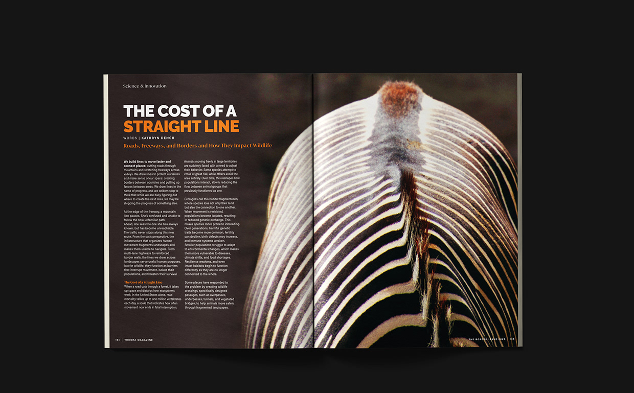 TrooRa Magazine | Editorial Design & Art Direction Image 8