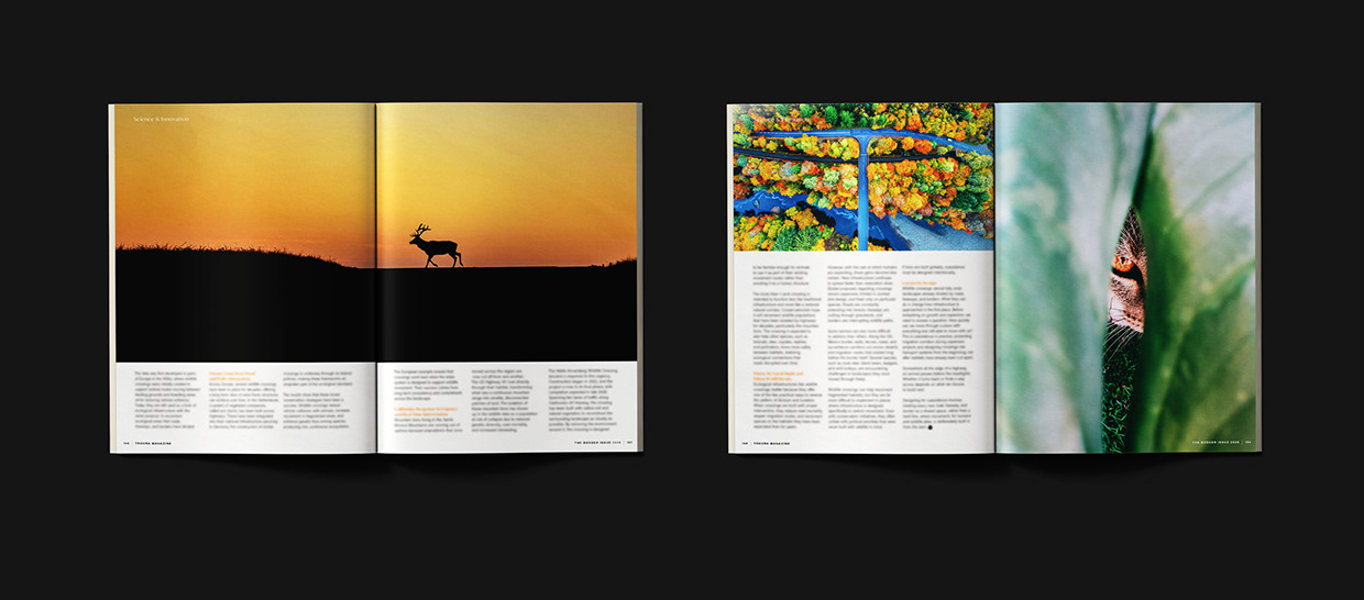 TrooRa Magazine | Editorial Design & Art Direction Image 9