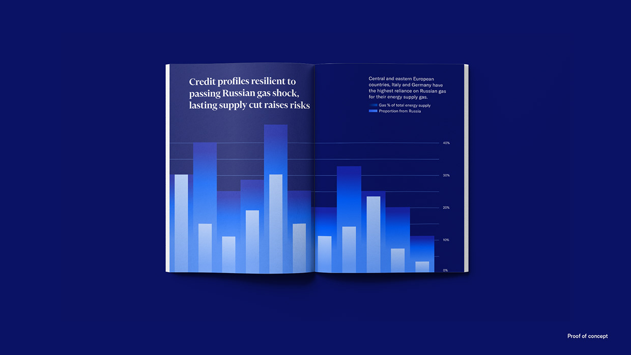 Data Visualization Identity & Guidelines | Moody's Image 5