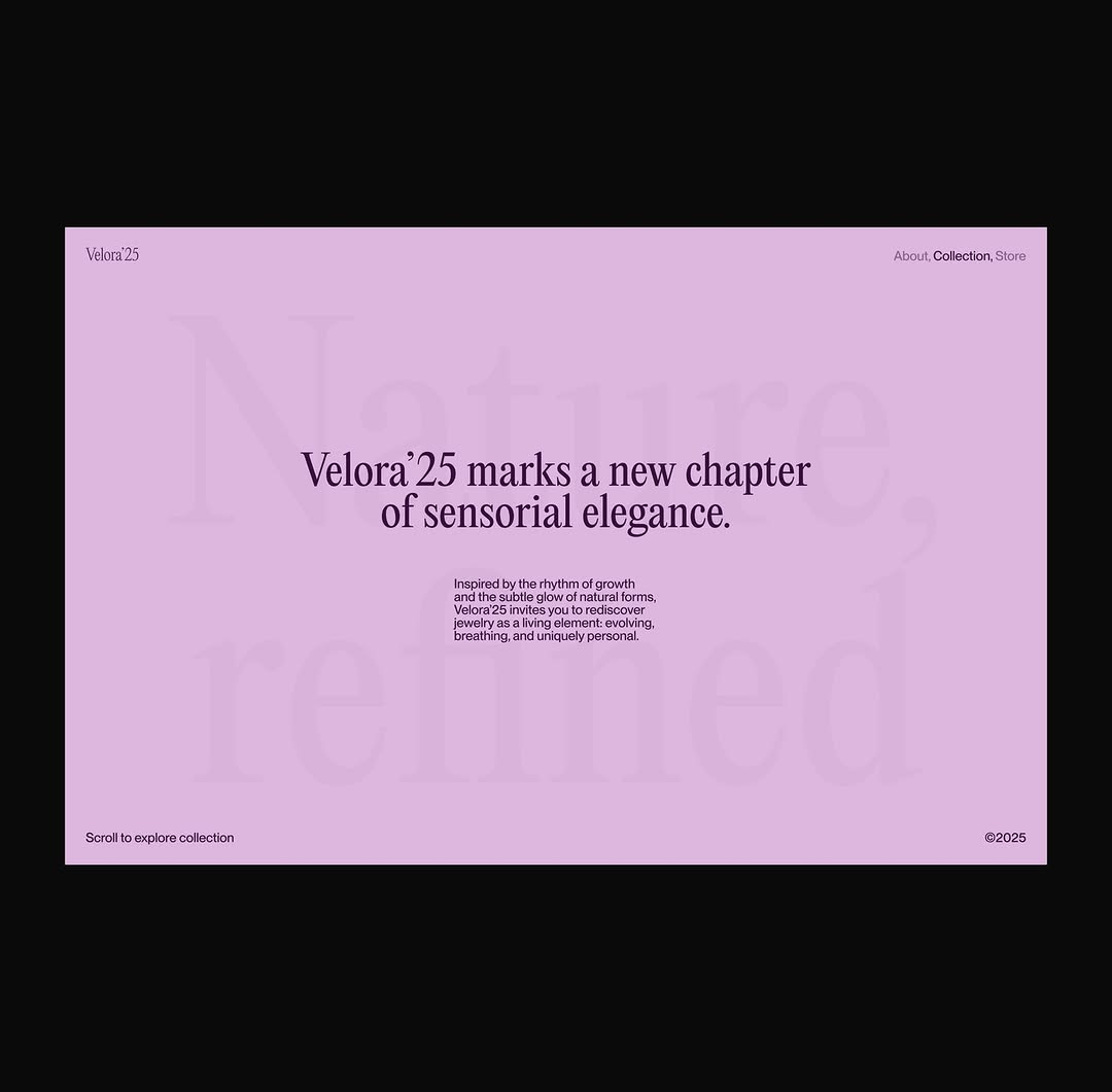 Jewelry Brand Concept Image 2