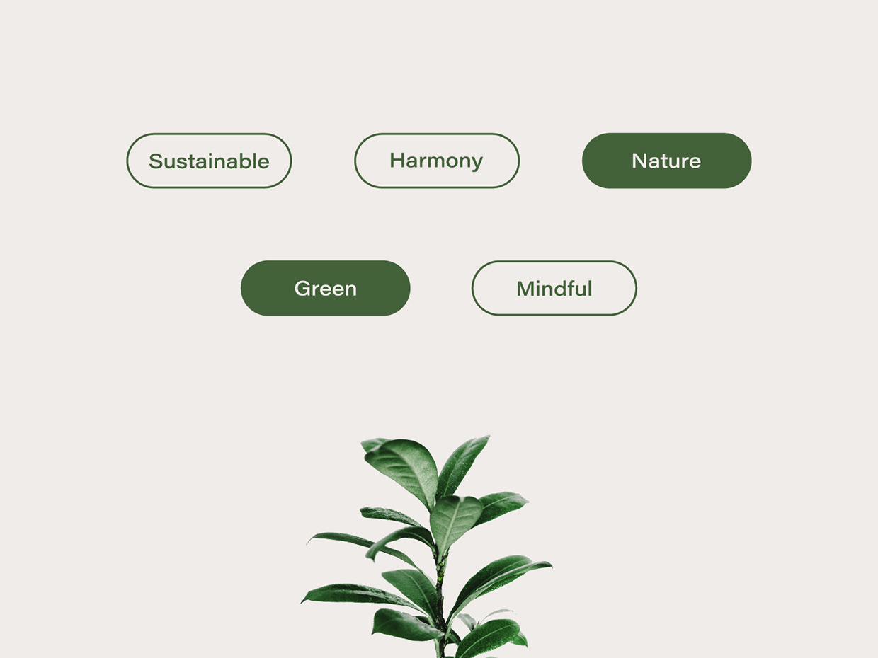 Verda - Eco Brand Identity & Logo Design Image 0