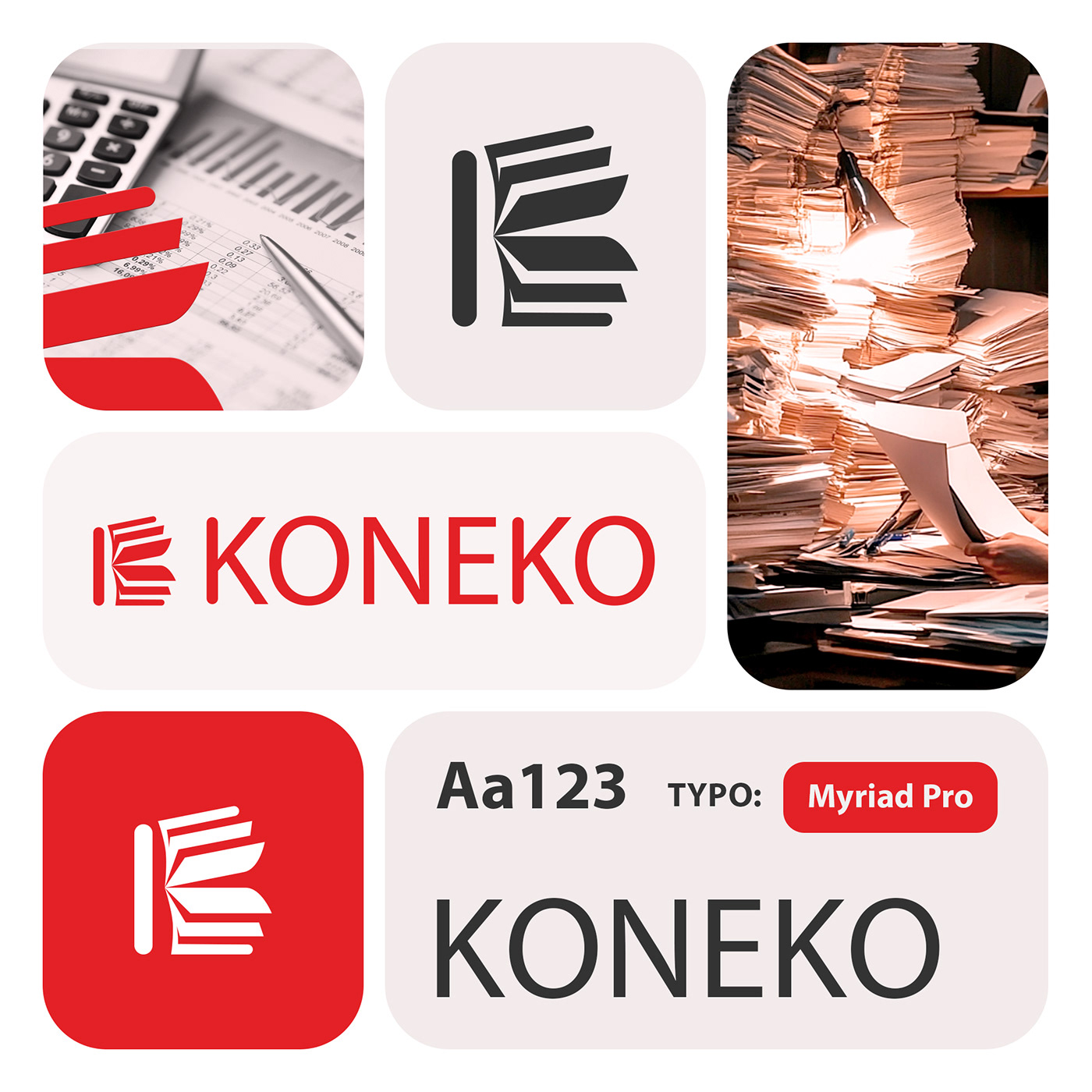 KONEKO — Accounting Services and Documents