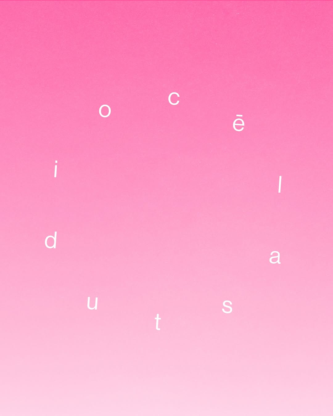 cēla studio 🎀 Image 4