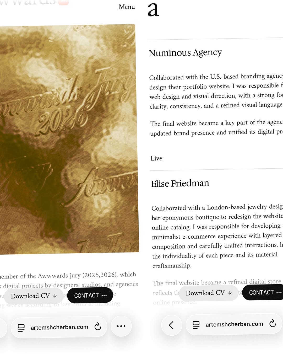 artemshcherban.com Image 1