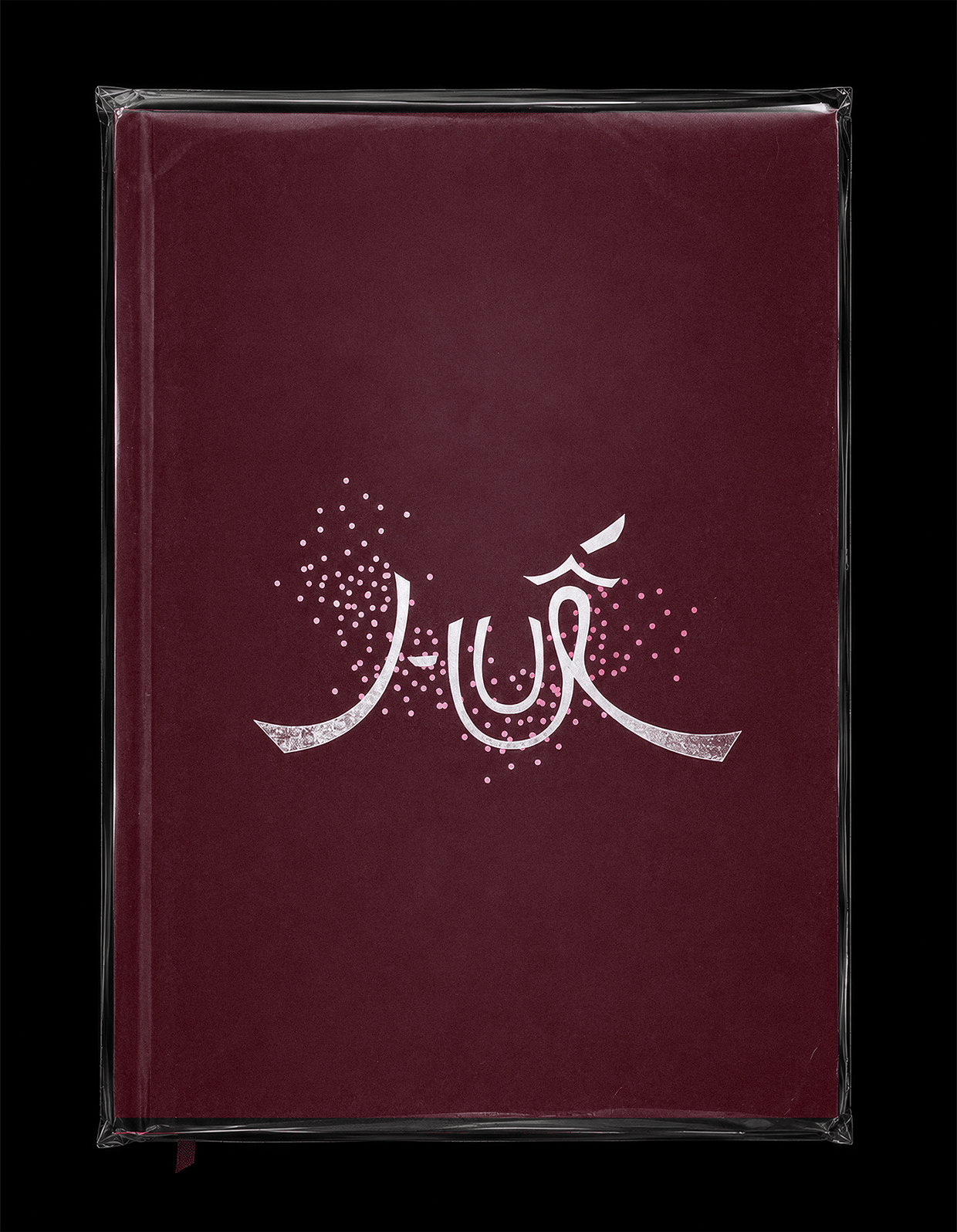 HUẾ | CULTURAL EDITORIAL Image 1