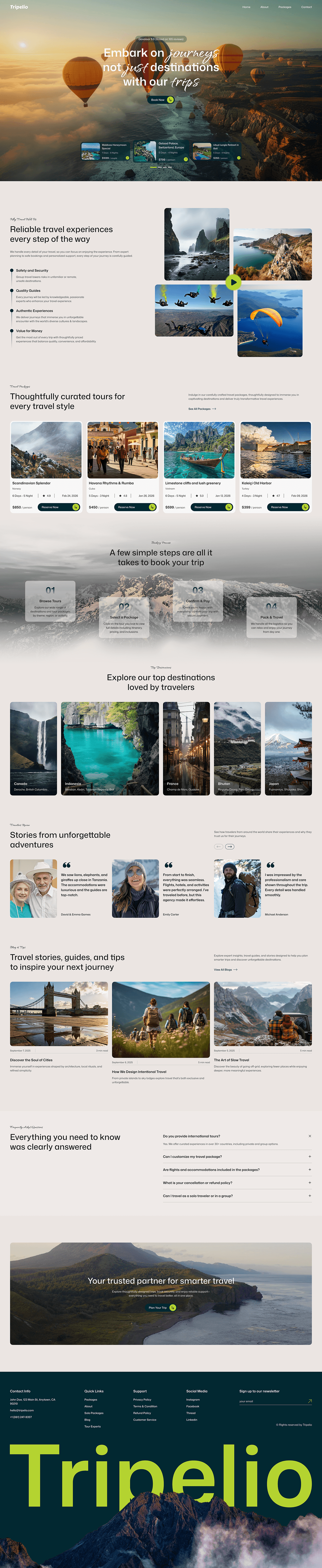 Tripelio — Travel Agency Website Design Image 0