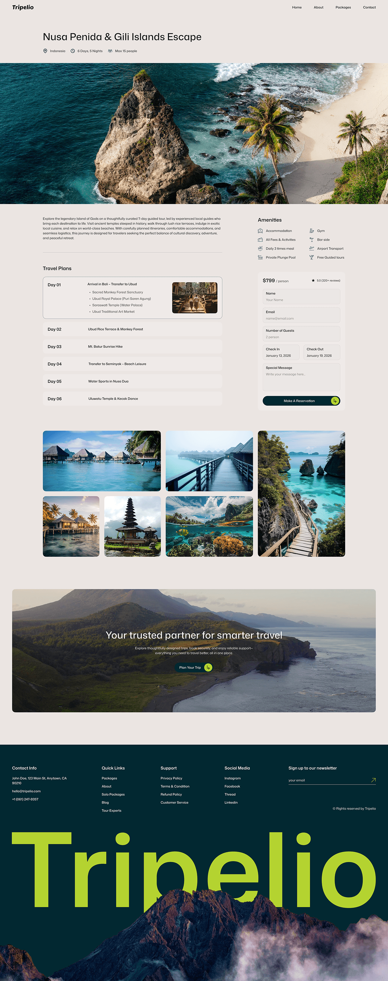 Tripelio — Travel Agency Website Design Image 1