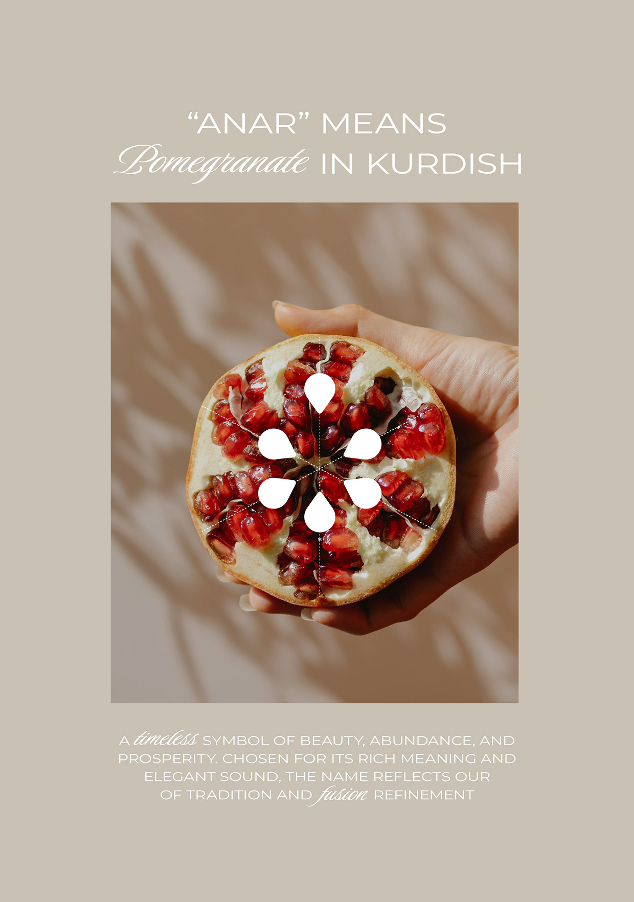 Anar Restaurant Image 3