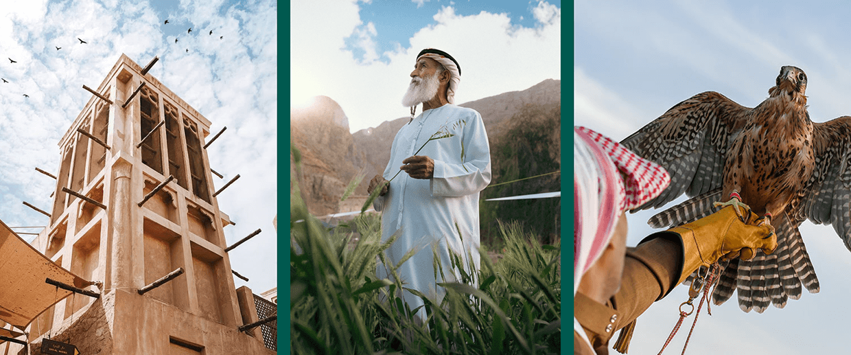 VestinGrow Brand Identity Image 4