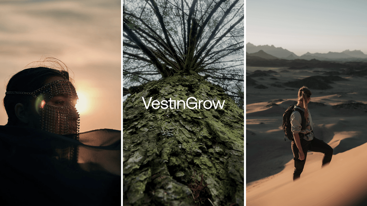 VestinGrow Brand Identity Image 19