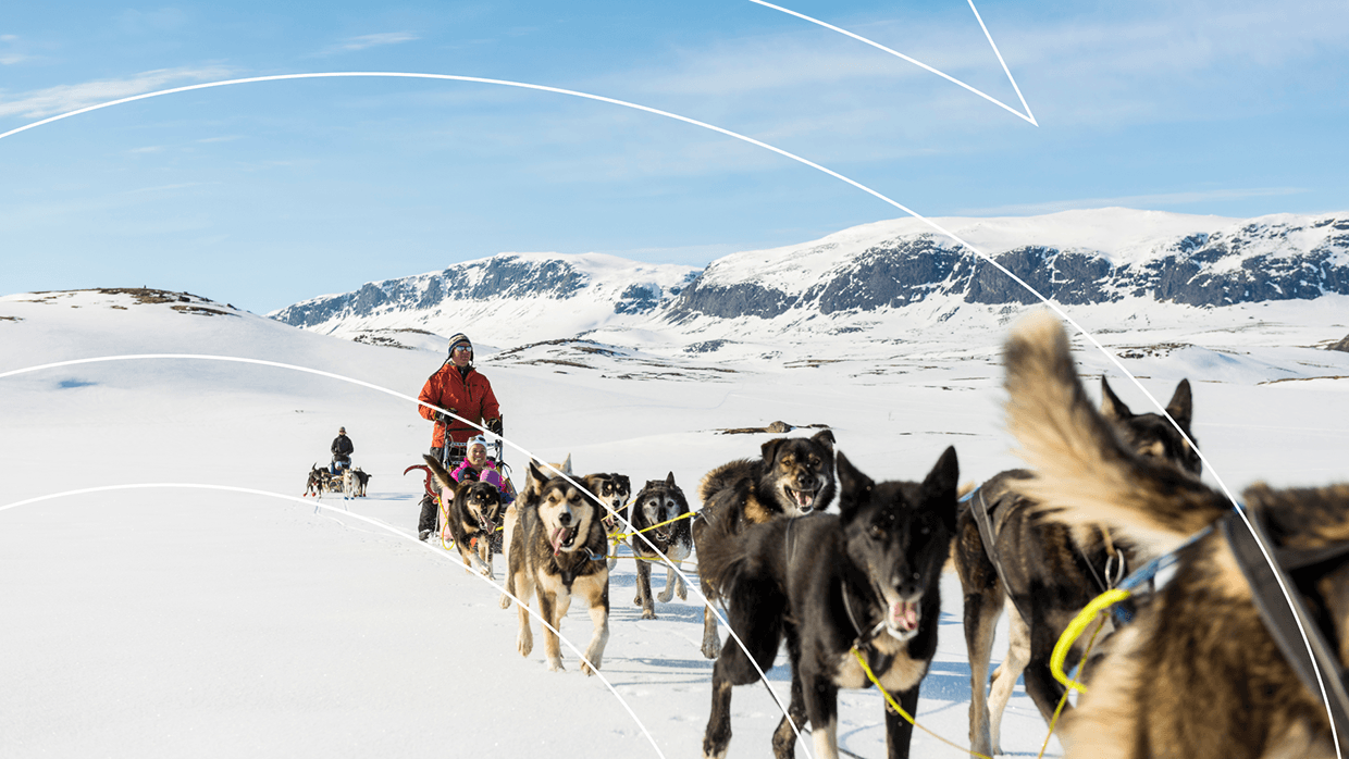 Snow&Go Brand Identity Image 35