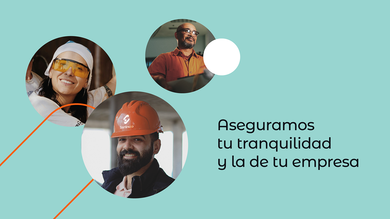 Seriinco - Rebranding Image 1