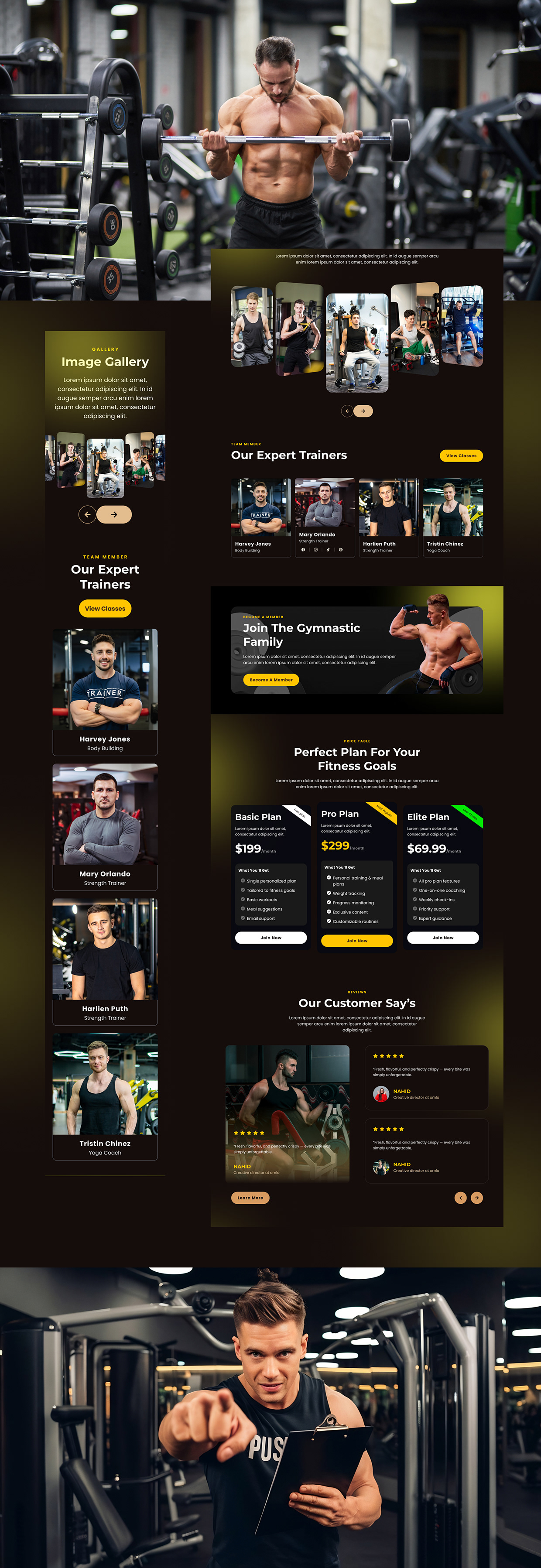 Flexora Fitness Modern Gym Website Design Image 7