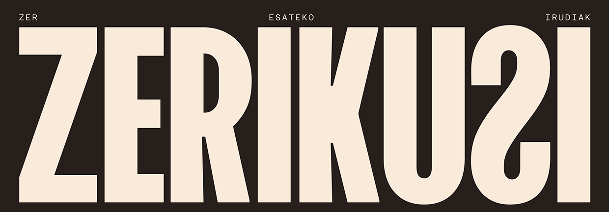 Zerikusi · Visual identity & website