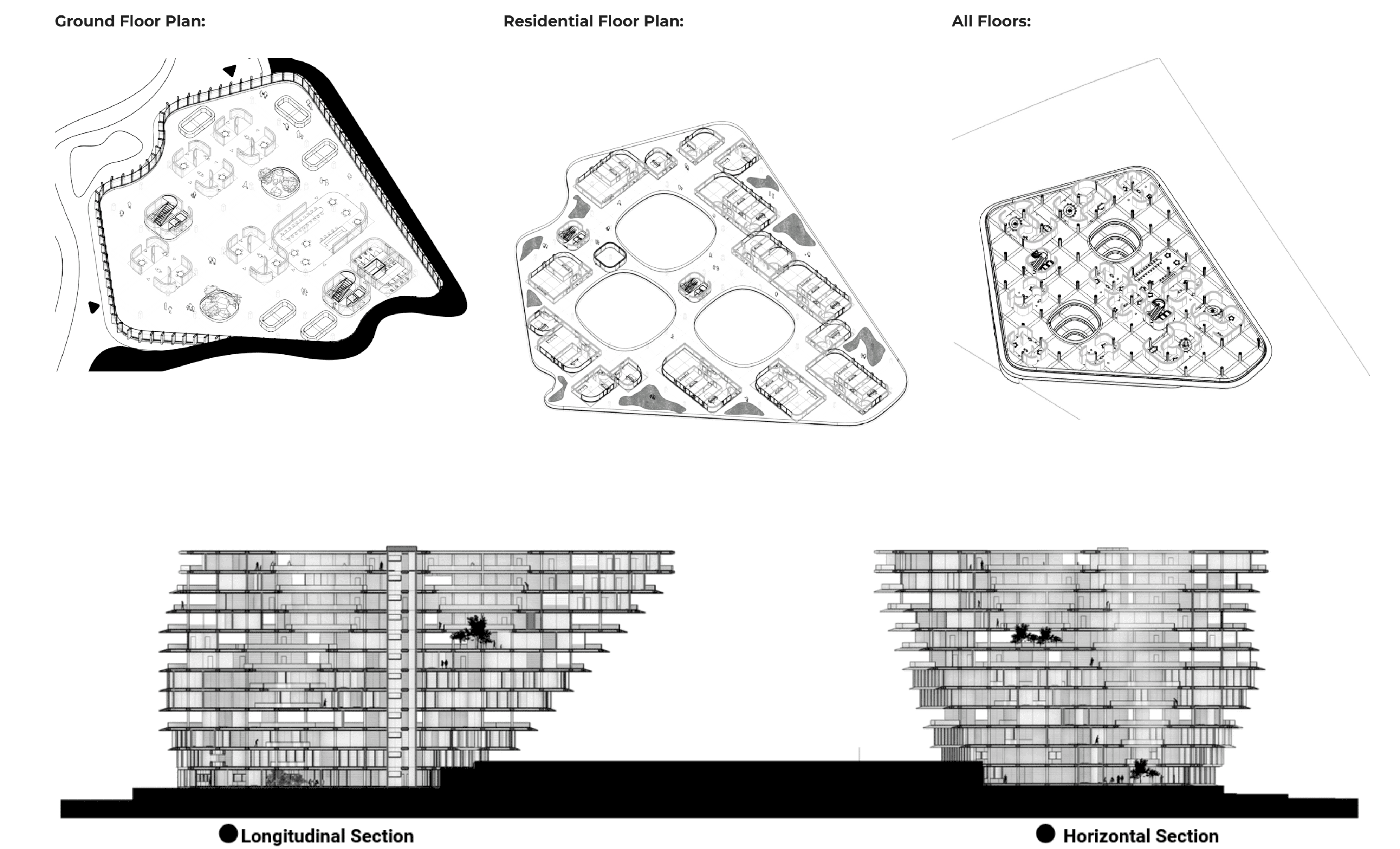 Mahnoor's Portfolio