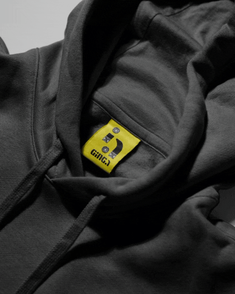 GINGA: Brand Identity Design Image 3