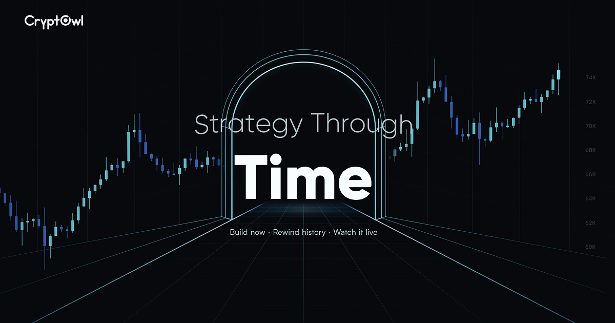 CryptOwl — Professional Crypto Strategy Workspace