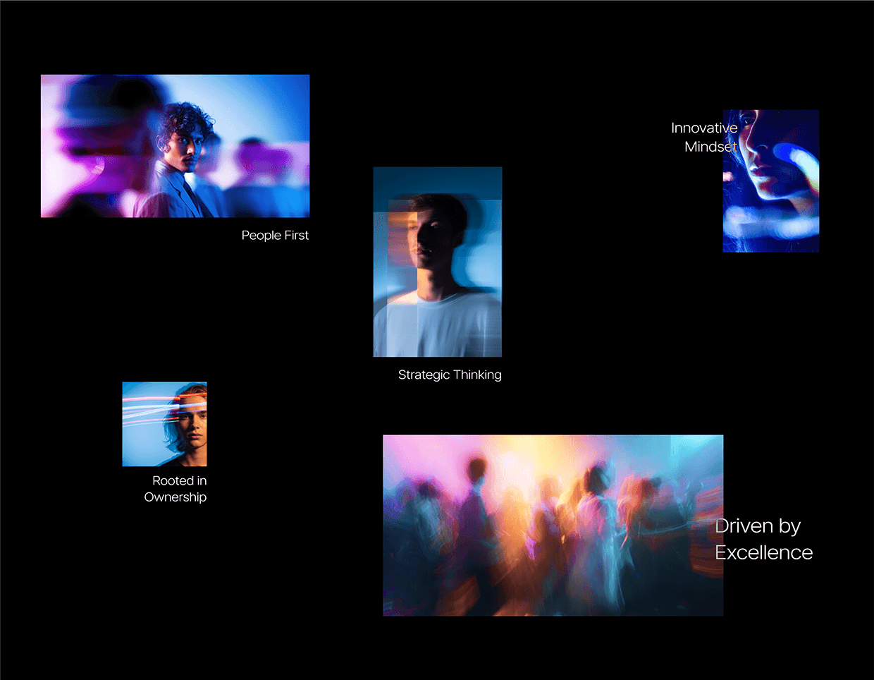 Rootquotient | Brand Identity & Website Image 7