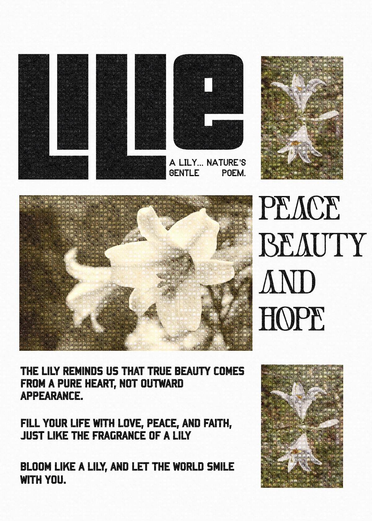 Flower poster Image 0