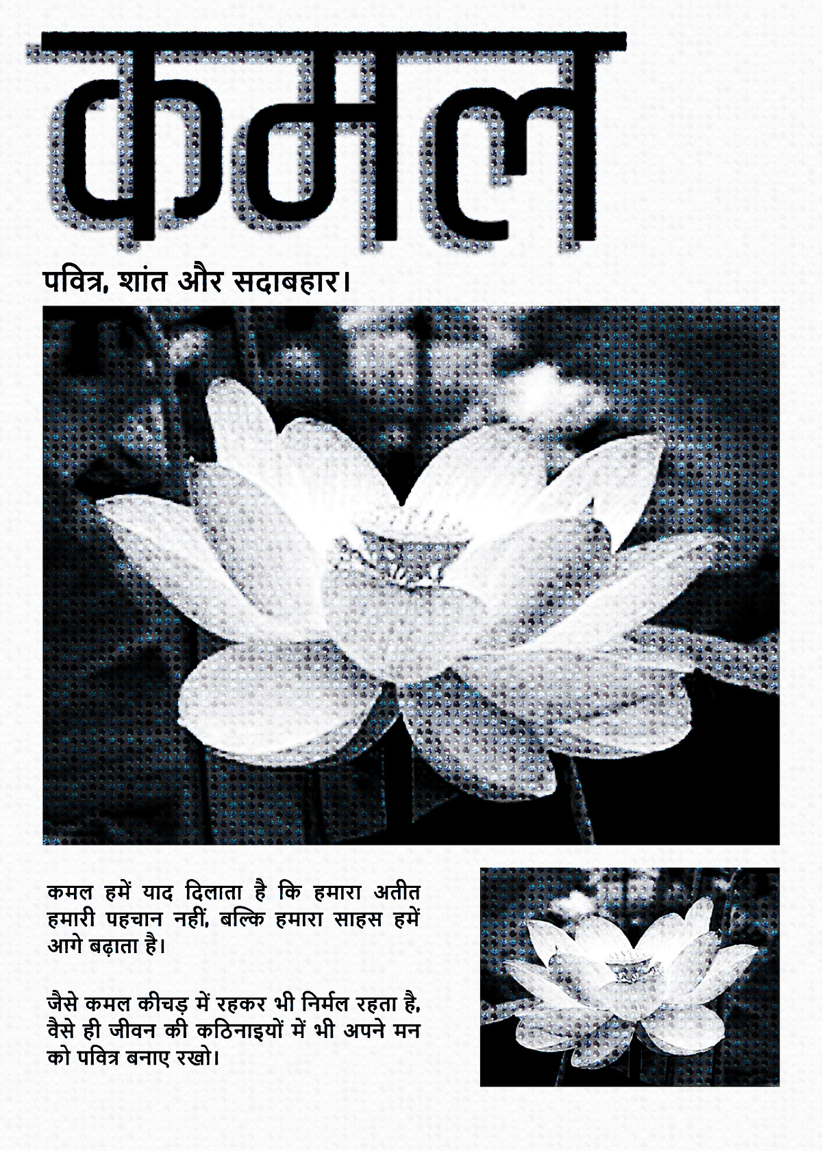 Flower poster Image 1