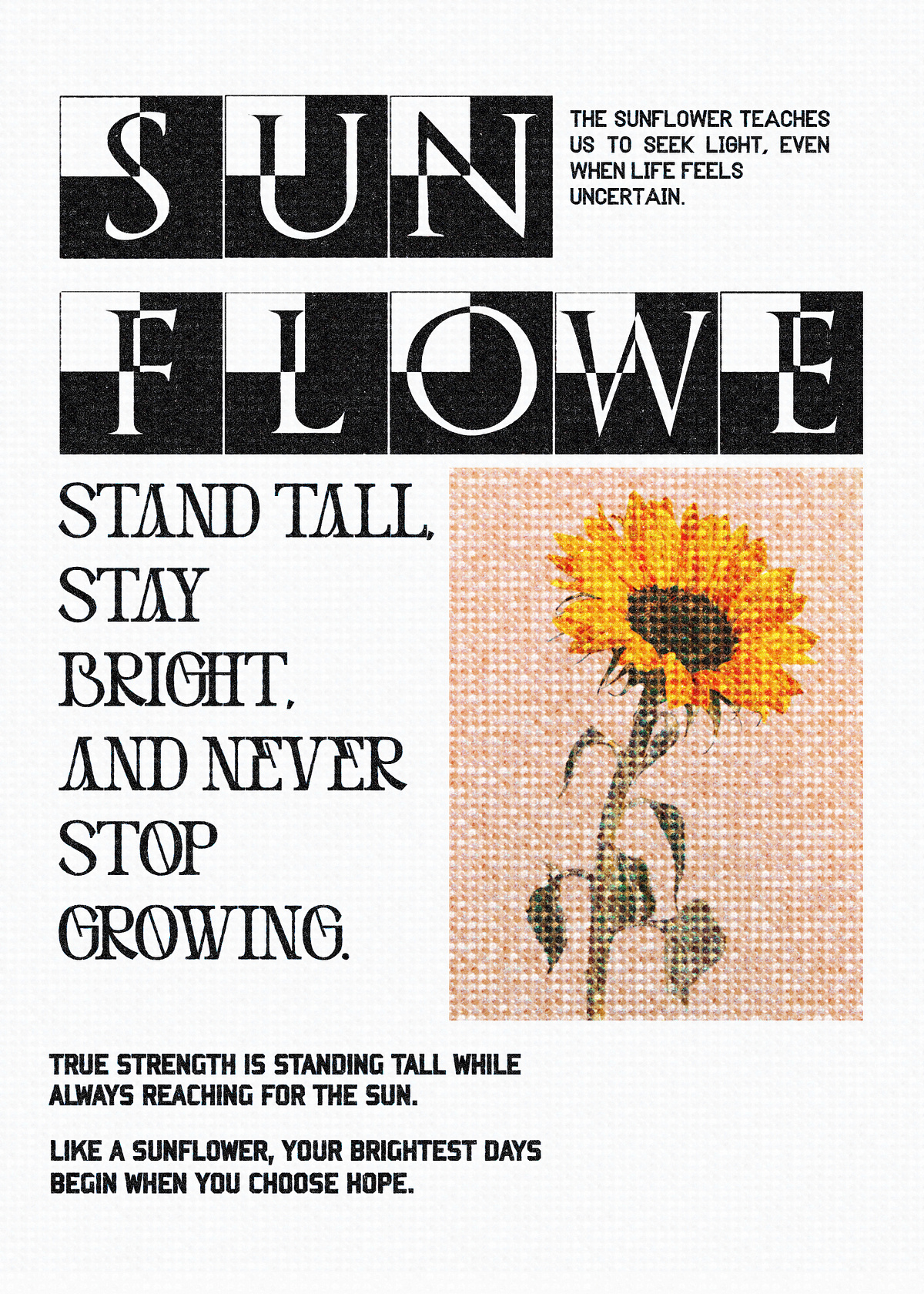 Flower poster Image 2