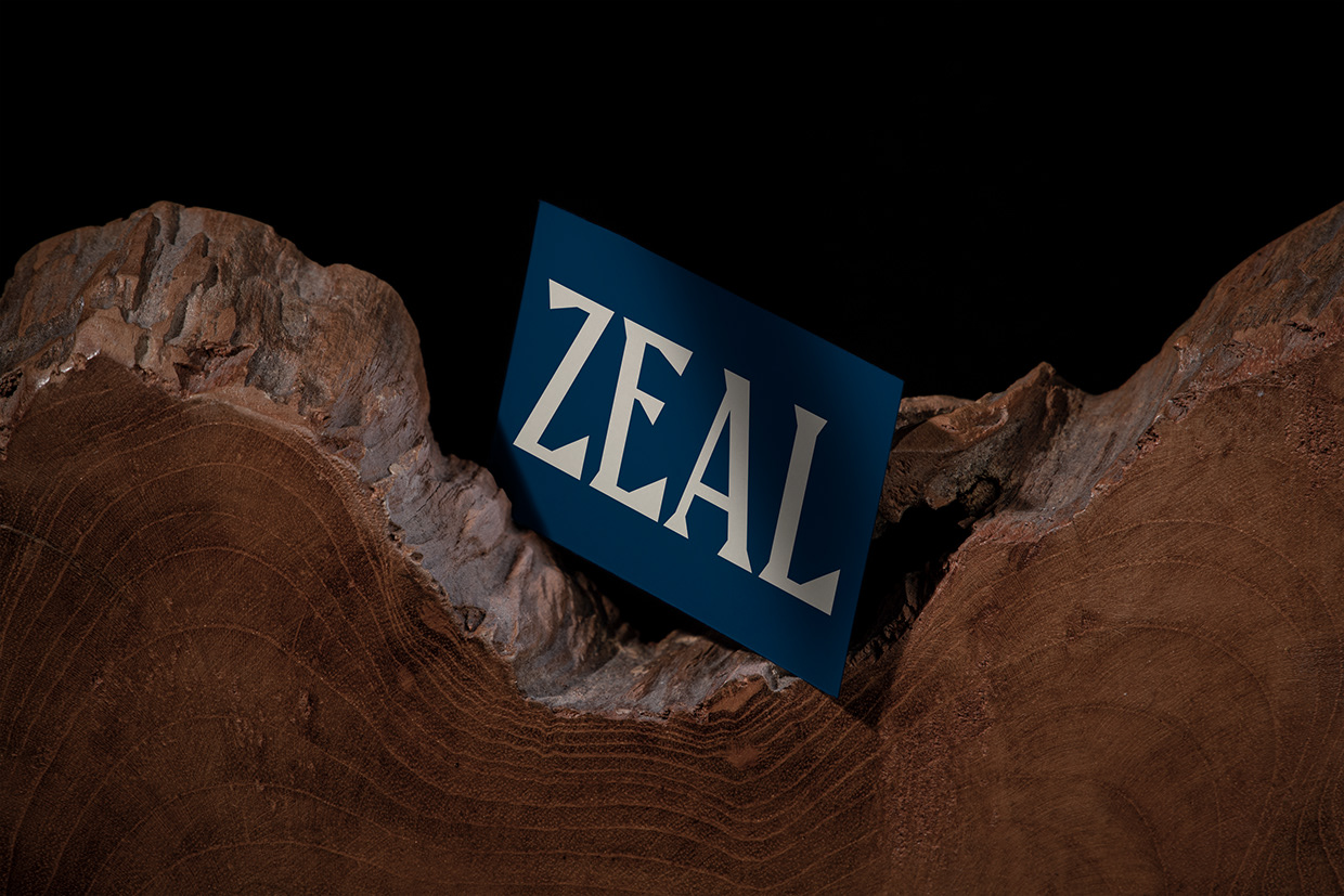 ZEAL ENGENHARIA Image 2