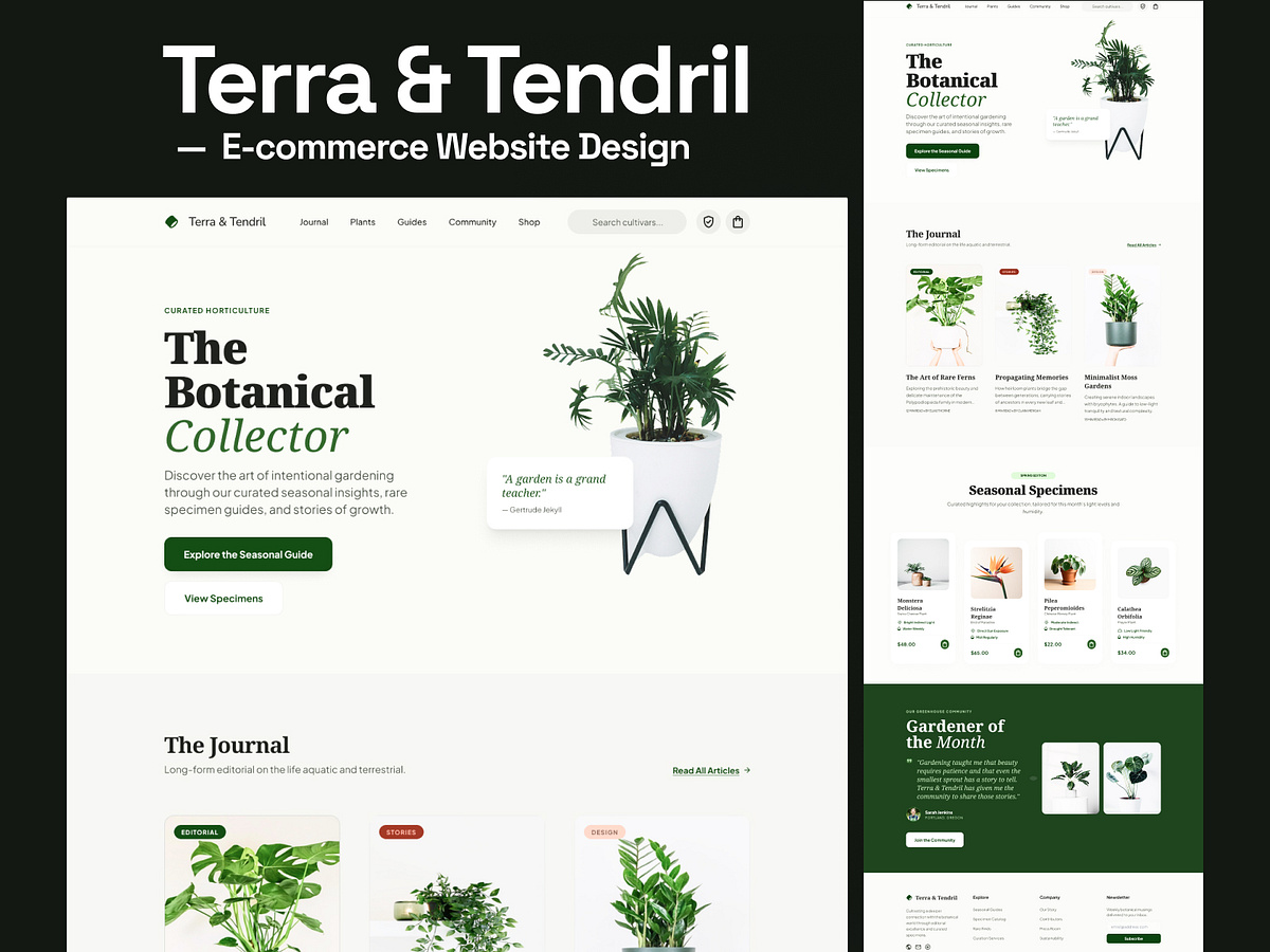 Terra & Tendril —  E-commerce Website Image 0