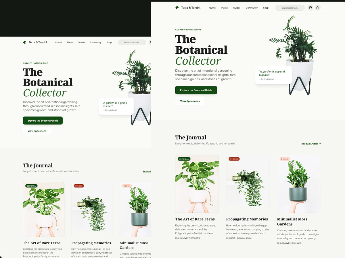 Terra & Tendril —  E-commerce Website Image 1
